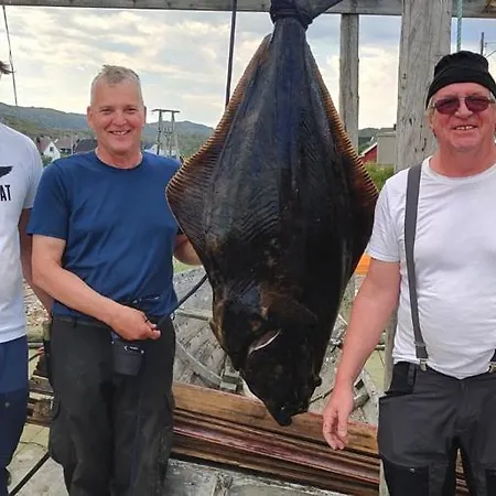 Hedvig فندق Bugoynes